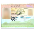 passport Dominica